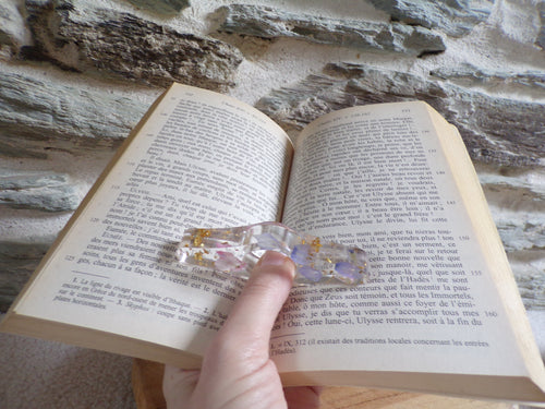 bague de lecture