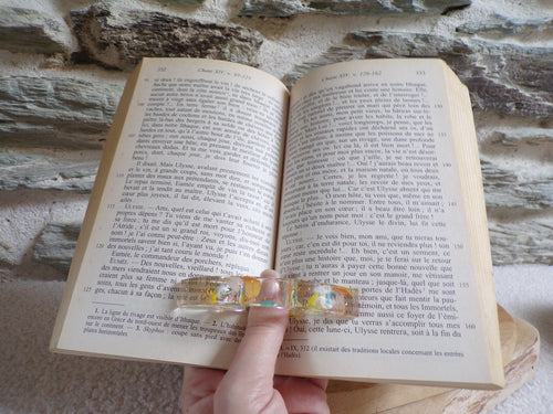bague de lecture