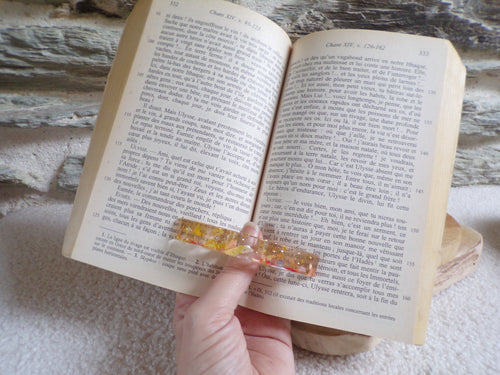 bague de lecture
