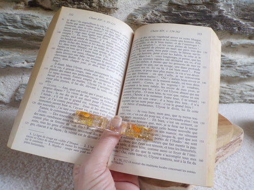 bague de lecture