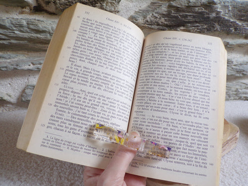 bague de lecture