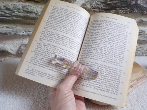 bague de lecture