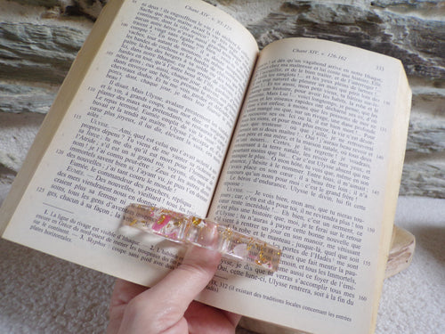 bague de lecture