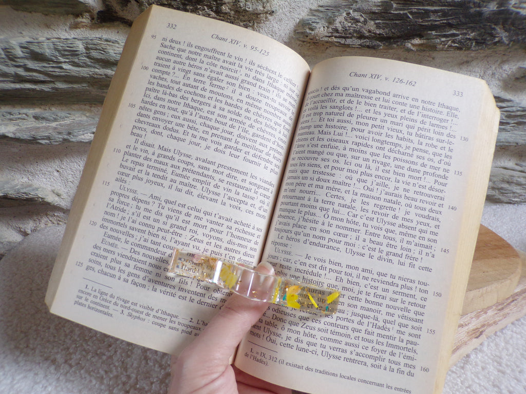 bague de lecture