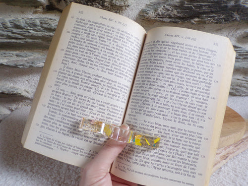 bague de lecture