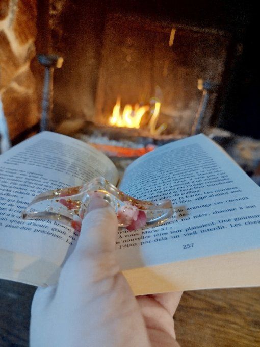 Bague de lecture